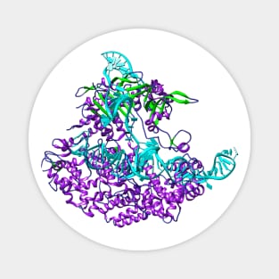 CRISPR Cas9 Biology Cool Gift Magnet